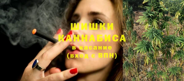 PSILOCYBIN Абаза