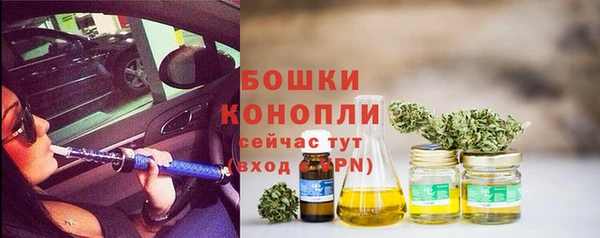 PSILOCYBIN Абаза